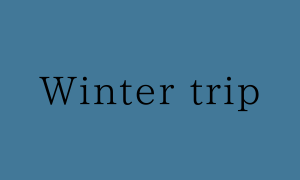 Winter trip