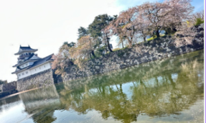 富山城公園の様子