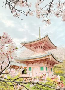 壷阪寺 塔と桜の撮影スポット