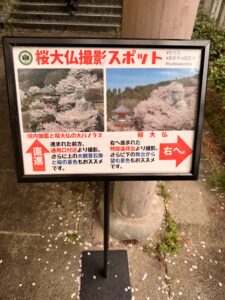 壷阪寺の桜スポット案内表示