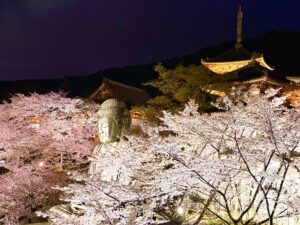 壷阪寺の遙拝台から撮影した桜大仏と桜の風景