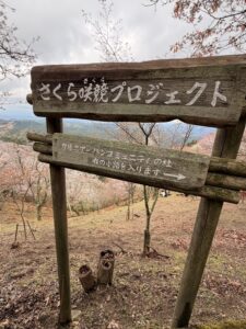 吉野山 桜 撮影スポット さくら咲競プロジェクト付近