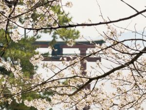 白鬚神社 琵琶湖