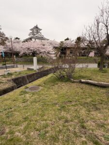 豊公園で撮影した長浜城と桜